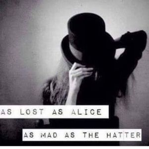 Meet your Posher, Ariaa